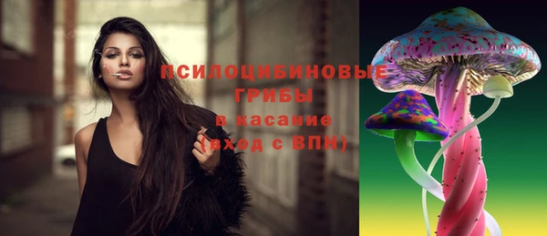 меф Арсеньев
