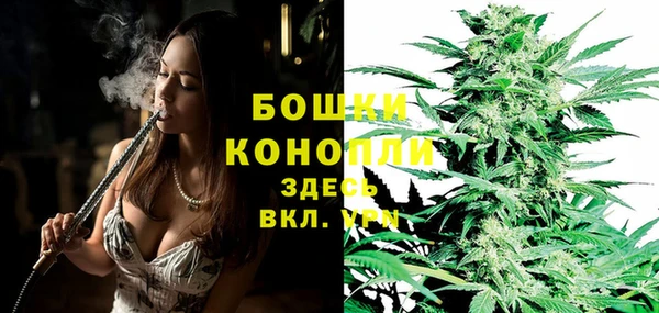дживик Баксан