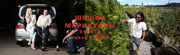 меф Арсеньев