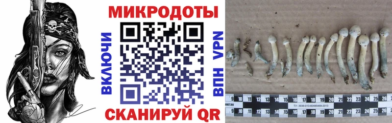 Псилоцибиновые грибы прущие грибы  магазин    Серов 